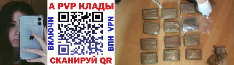 A PVP СК КРИС  Обь 