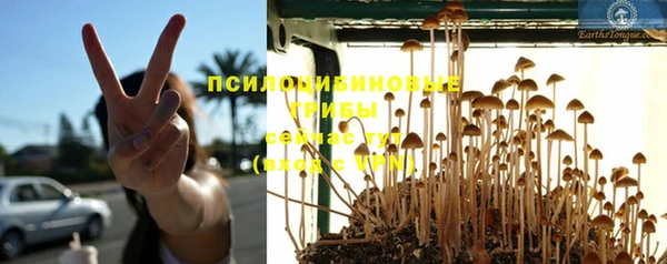 кристаллы Бугульма