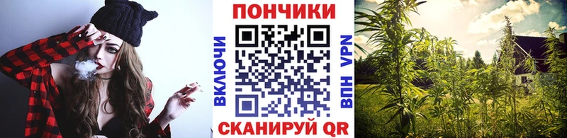 mega маркетплейс Обь Каннабис план